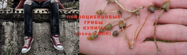 стафф Армянск