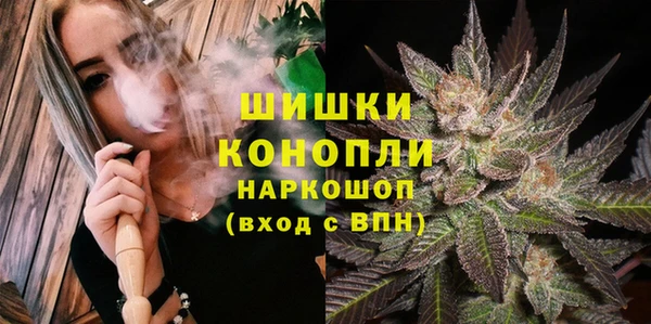 сатива Арсеньев