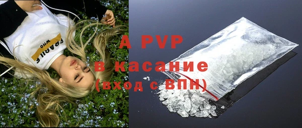 сатива Арсеньев