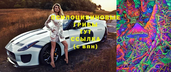 стафф Армянск