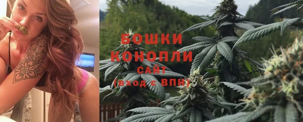 шишки Аркадак
