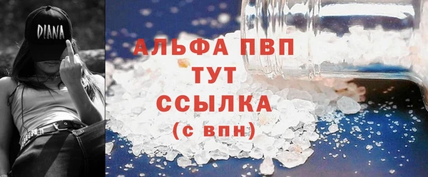 сатива Арсеньев