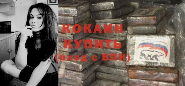шишки Аркадак