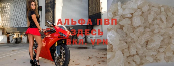 сатива Арсеньев